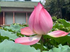 -广州莲花山旅游区
