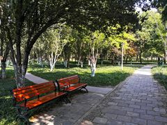 -泰丰公园
