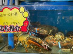 -蚝专家(北滘店)
