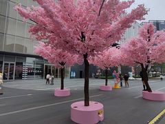 -东莞松山湖万象汇