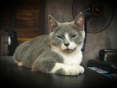 android_upload_pic-MIKAKU(万达广场上海宝山店)