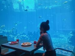 -海棠湾洲际-涛·海底餐厅·美人鱼·自助餐·海底隧道