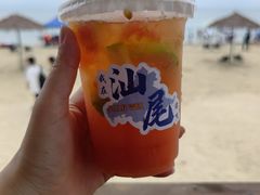 -汕尾风车岛
