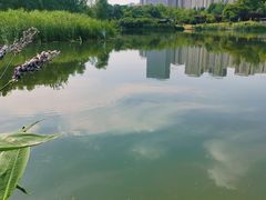 -滨湖塘西河公园
