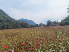 -贵阳市花溪国家城市湿地公园