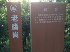 -滴水岩森林公园
