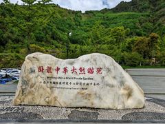 -卧龙中华大熊猫苑神树坪基地