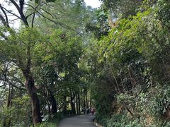 -南岗山公园