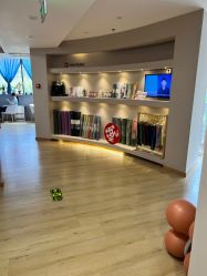 -酉嘉瑜伽YO+YOGA