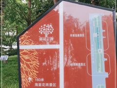 -顺城公园