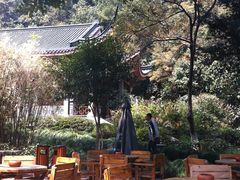 -十八棵（老龙井）御茶园(老龙井店)