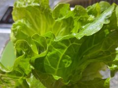 -鹤之乡·齐齐哈尔烤肉·非遗(秋涛路店)