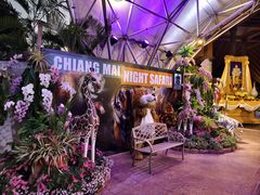 -清迈夜间动物园