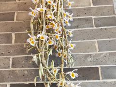 -顺德了能馆(虎门店)