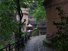 -杨家堂村