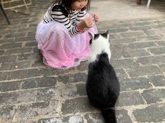 -喵屿·大理花园猫咖