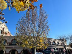 -布拉格餐厅· 中欧捷克菜(全国首店)