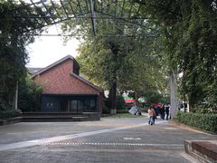 -Bamboo Today Cafe(国创园店)