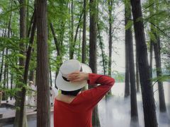 -东湖落雁景区