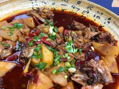 -青城甲(青城山店)