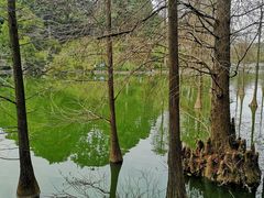 -广州市白云山风景名胜区
