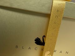 -BLACKSWAN黑天鹅(环球店)