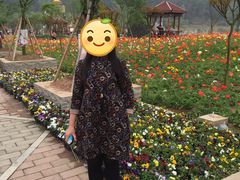 -绵阳盛世樱花悠乐谷