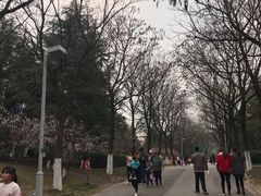 -白塘生态植物园