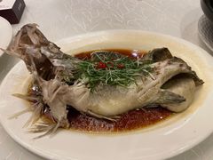 -大谊园