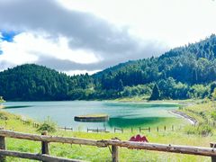 -武陵山森林公园