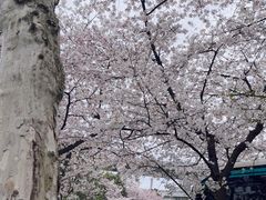 -南浦大桥长途旅游客运站