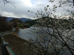 -丽江泸沽湖景区-里格半岛