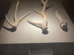 -南越王博物院(王宫展区)