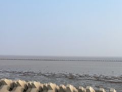 -南汇嘴观海公园