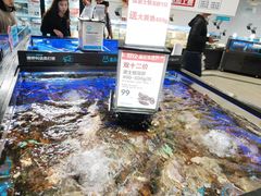水产区-盒马鲜生(岭南新世界店)