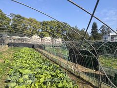 -三圣花乡旅游区