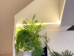 -伊斯坦布尔土耳其清真咖啡餐厅