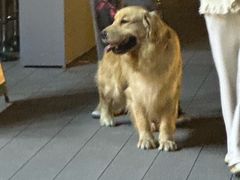 -春家·非遗手工小吃(三墩新天地店)