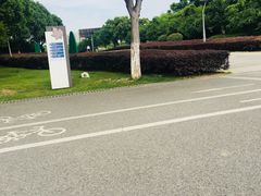 -尚贤河湿地