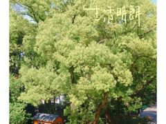 -乌山风景区