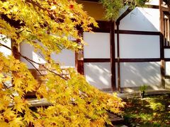 -常寂光寺