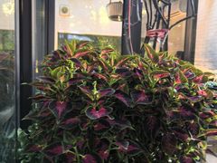 -大妙火锅·非物质文化遗产(东湖公园店)