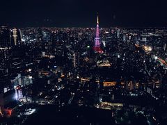 -六本木新城展望台(东京城市景观)