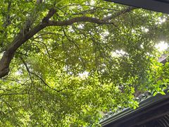 -宁波市保国寺古建筑博物馆