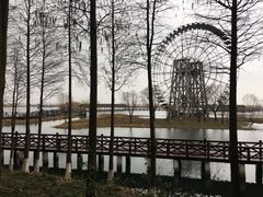 -太湖湖滨国家湿地公园-停车场