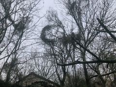 -西山风景区