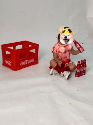 -同远QQBABY亲子摄影(北京路店)