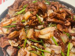 -秀儿四九城·新京菜(亚运村鸟巢店)