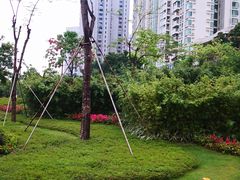 -人民公园(罗湖区)