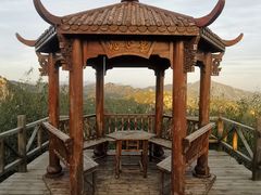 -大岭沟猕猴桃谷风景区